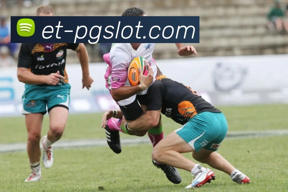 PG电子官网全站App